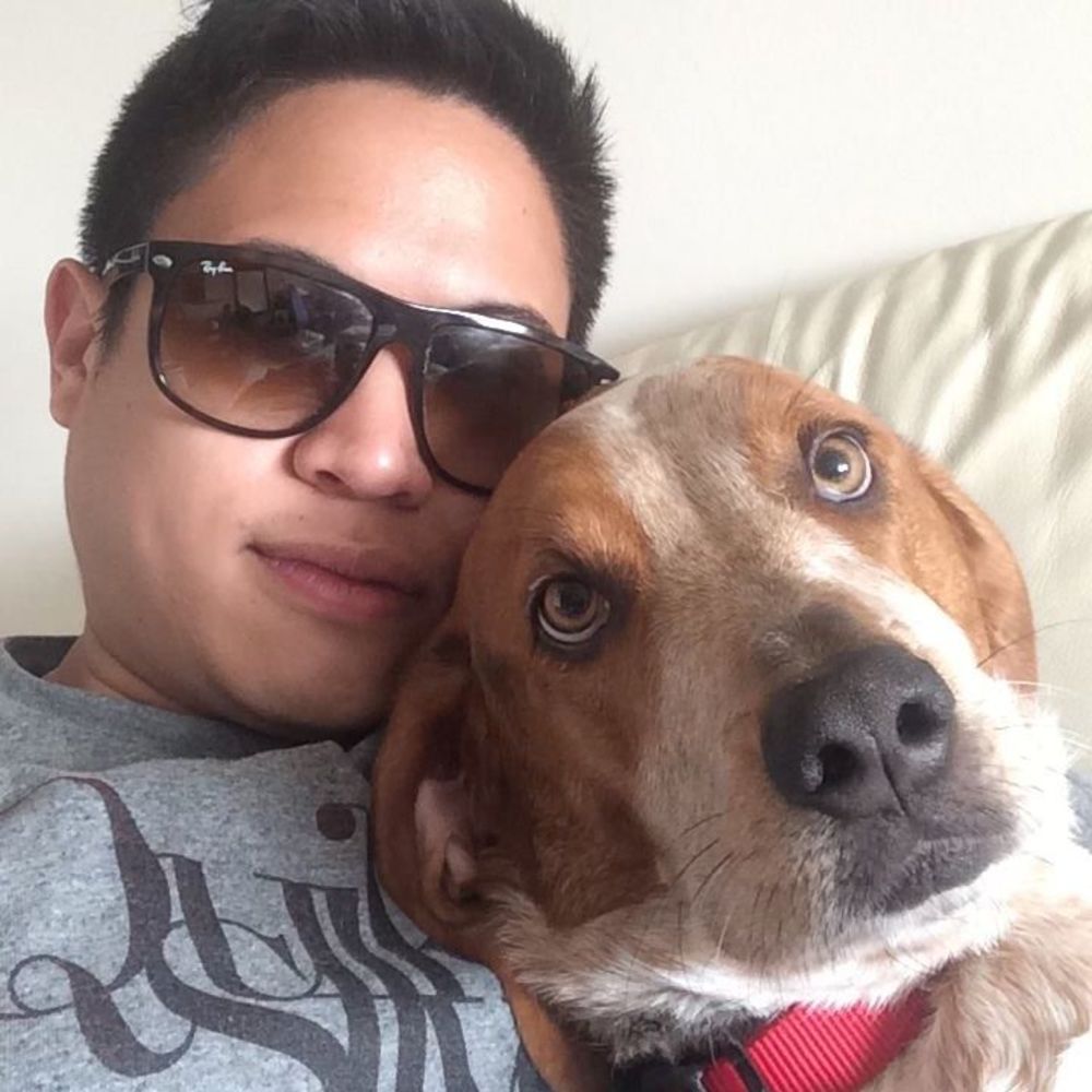 Meet your Posher, Justin